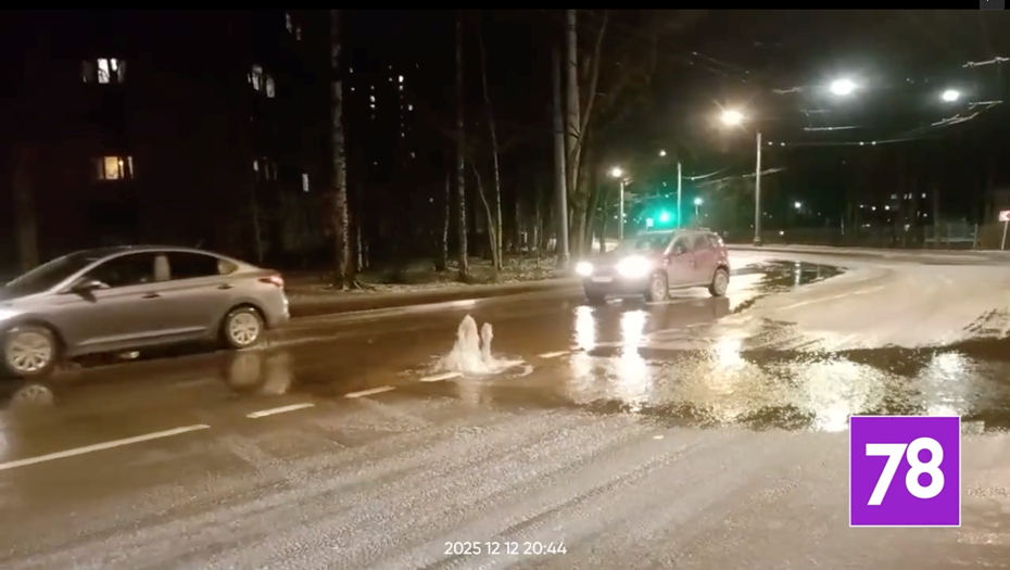 Автор фото: 78.ru