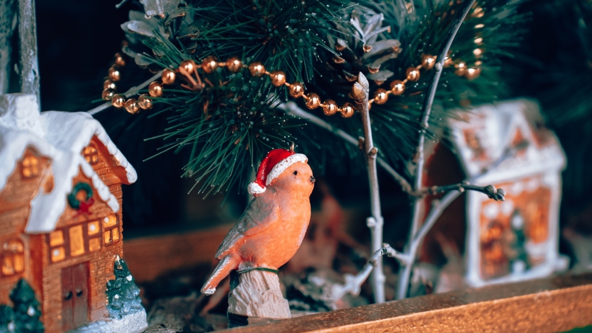 Светлана Мулыкина📷
