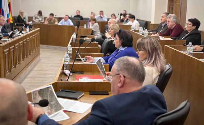    © Заневское городское поселение