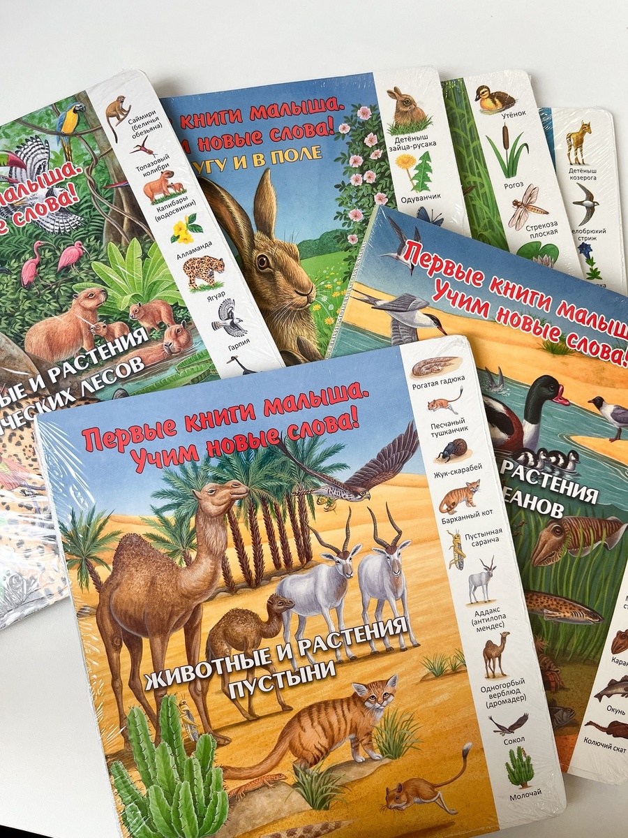 Книги «Первые книги малыша. Учим новые слова», издательство Улыбка