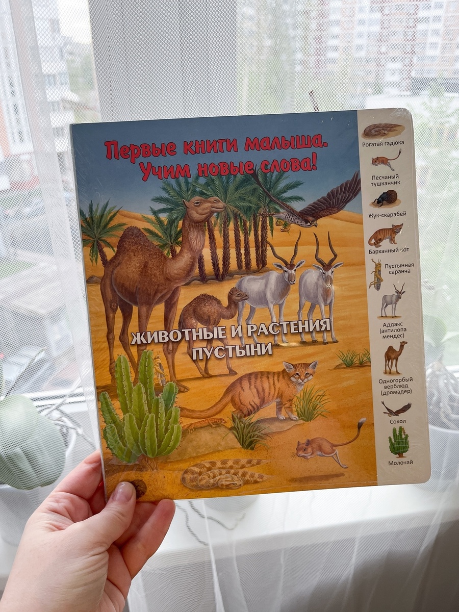 Животные и растения пустыни, издательство Улыбка