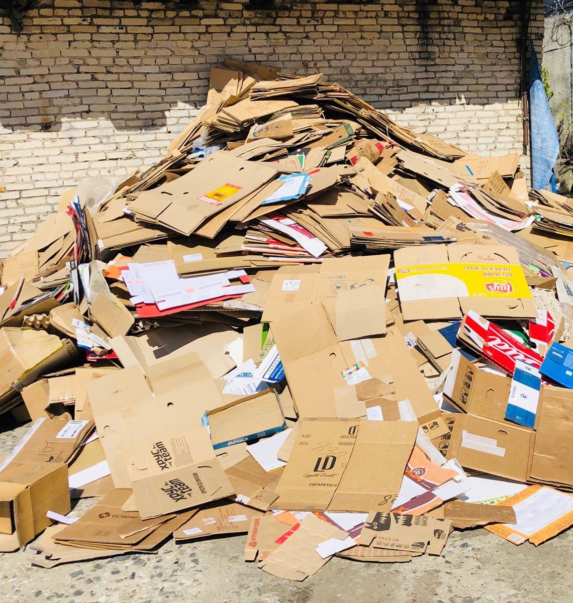 Яндекс картинки