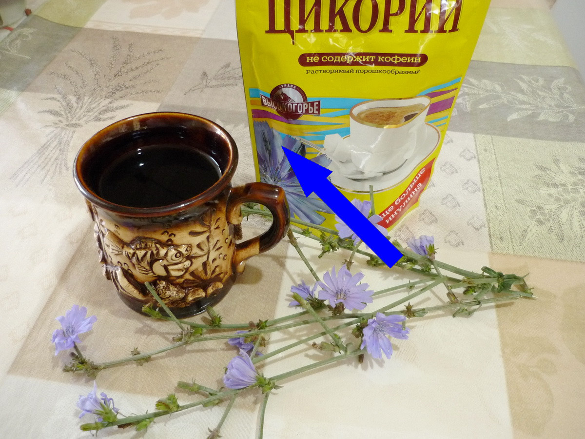    Этот забытый советский напиток заменяет кофе без вреда для сердца