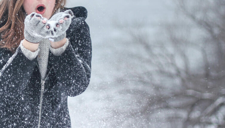    Метель-метелица. Какой она бывает? Фото: по лицензии CC0 Pxhere.com