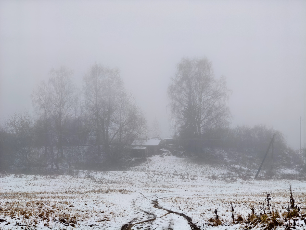 Туманный день 