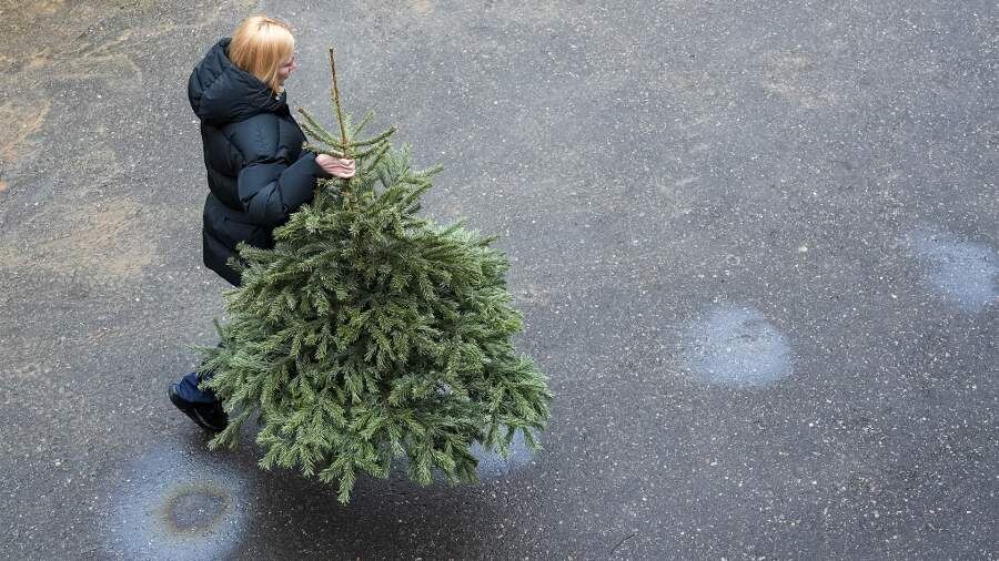    Фото: ИЗВЕСТИЯ/Эдуард Корниенко