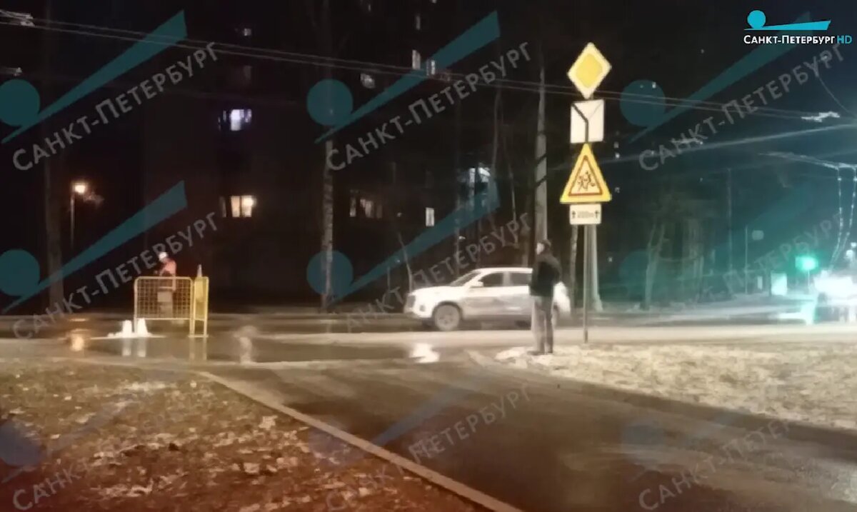    Фото: скриншот видео телеканала «Санкт-Петербург»