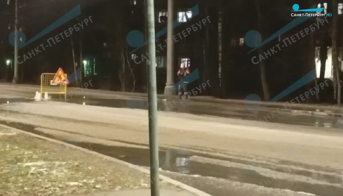    Фото: скриншот видео телеканала «Санкт-Петербург»