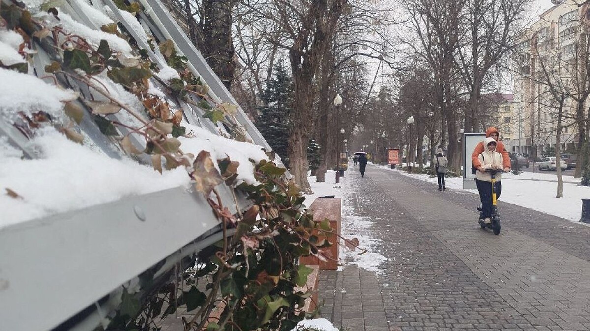    Фото: телеканал «Краснодар»