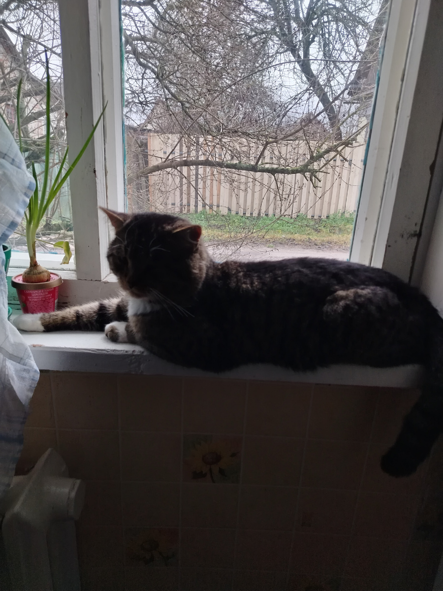 Да да вот такая у нас зима. Снега нет но хорошо лила как из ведра а ночью - 4.