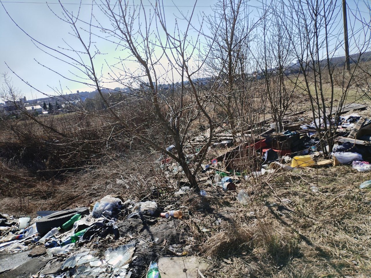 берег р.Днепр в ччерте города