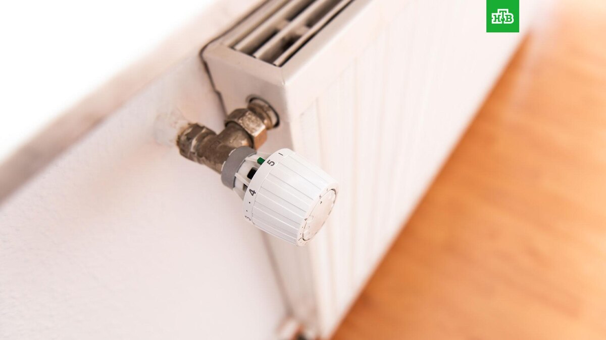    Фото: Silas Stein / dpa / picture-alliance / TASS