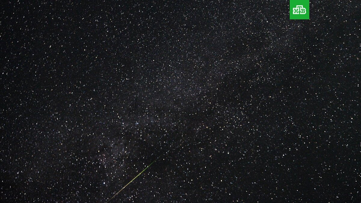    Фото: РИА Новости © 2025, Владимир Астапкович