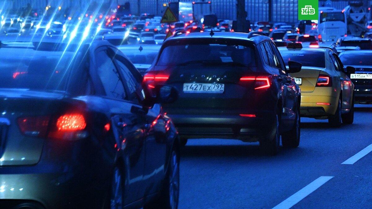    Фото: РИА Новости © 2025, Наталья Селиверстова