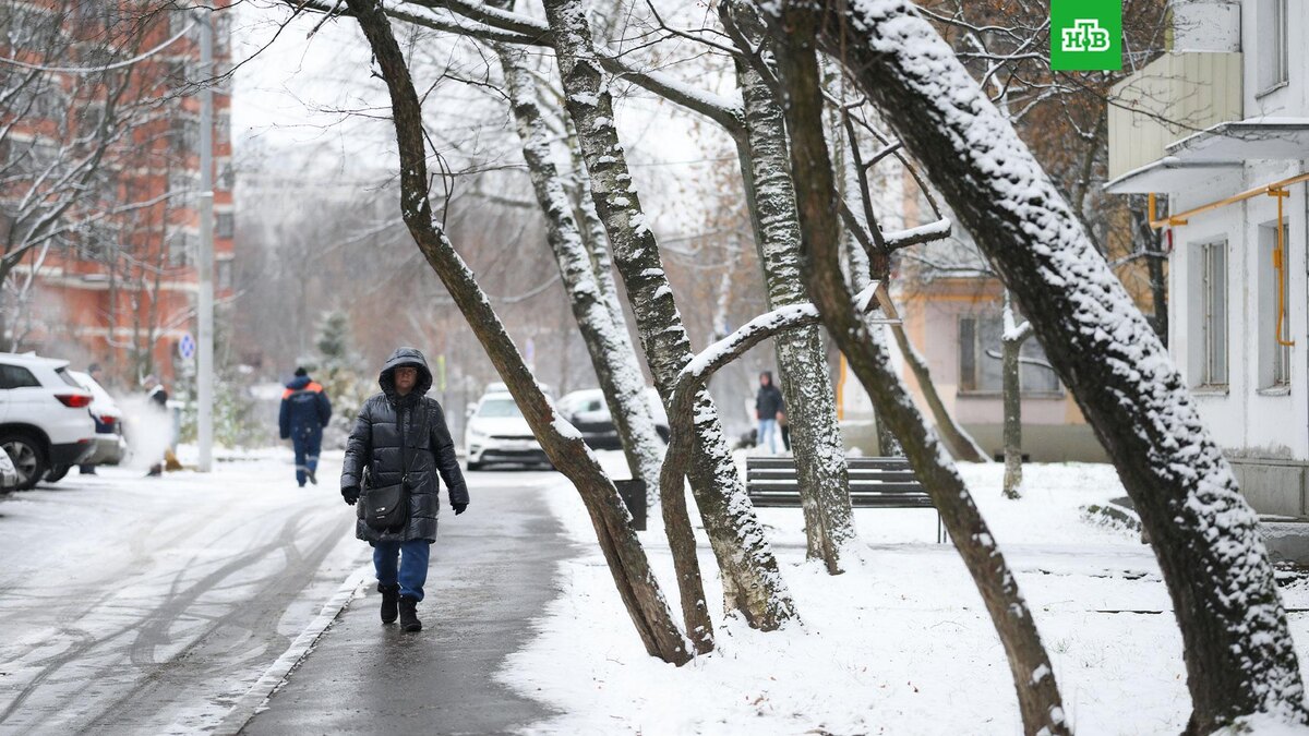    Фото: РИА Новости © 2025, Пелагия Тихонова