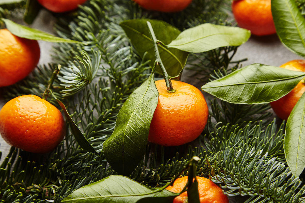 Anastasiya Stasyuk/istock