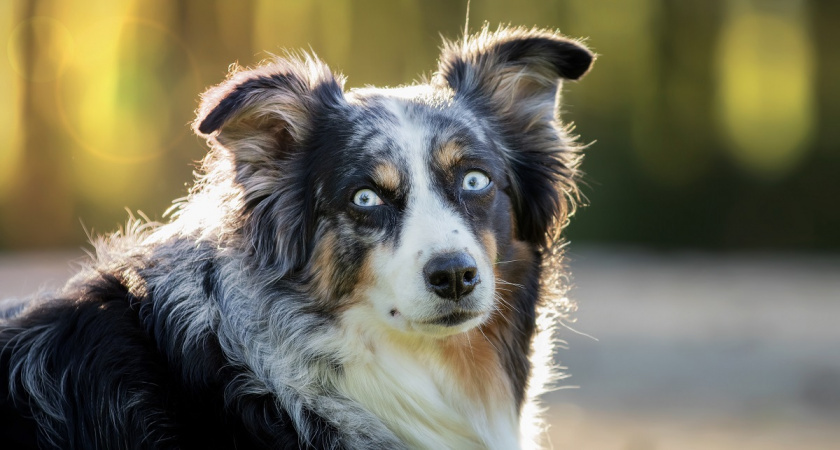    фото freepik.com