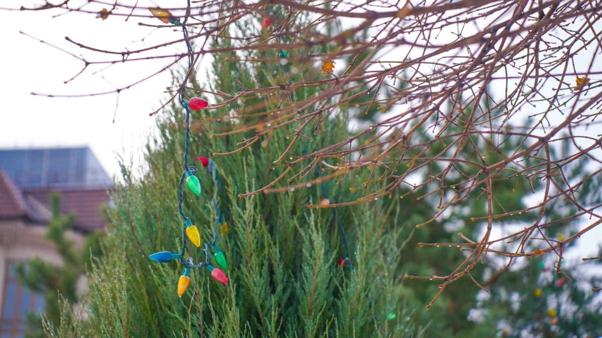 Светлана Мулыкина📷
