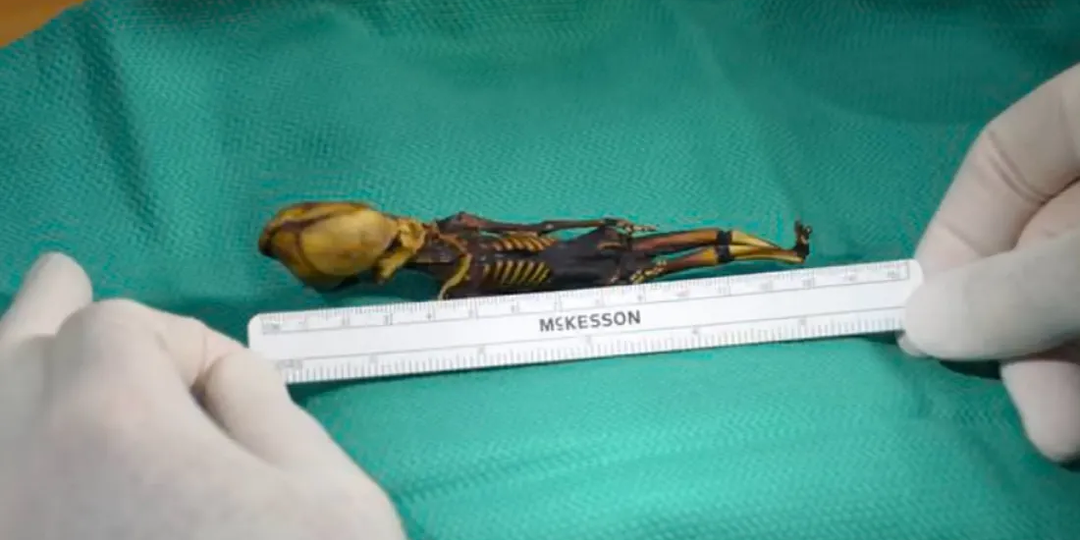 Необъяснимые «инопланетные» находки посреди глухих мест