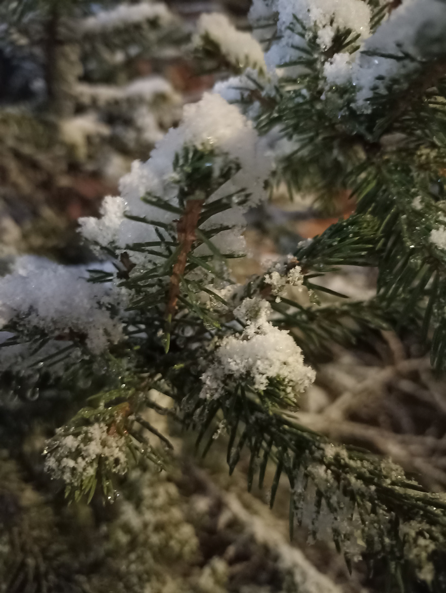 Вчера присыпало таки нас снежком