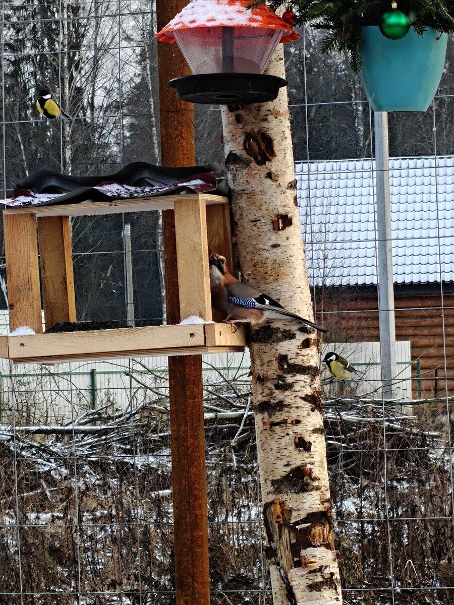Листайте вправо, чтобы увидеть больше изображений