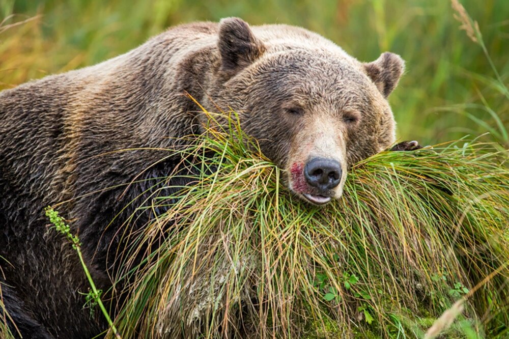    Уникальность сна. Фото: Геннадий Юсин