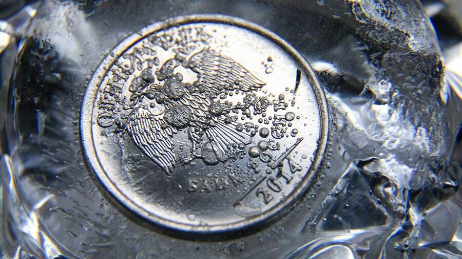    Фото: ИЗВЕСТИЯ/Сергей Коньков