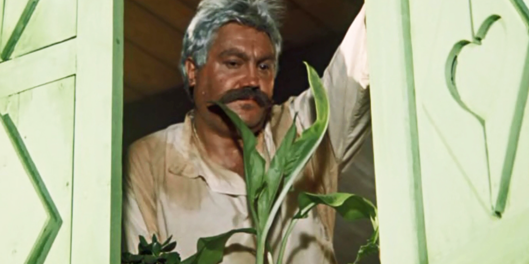 Влюбился в актрису и жил у неё три дня, а дома ждала жена, которая за него страшно переживала. Несправедливая любовь Павла Луспекаева