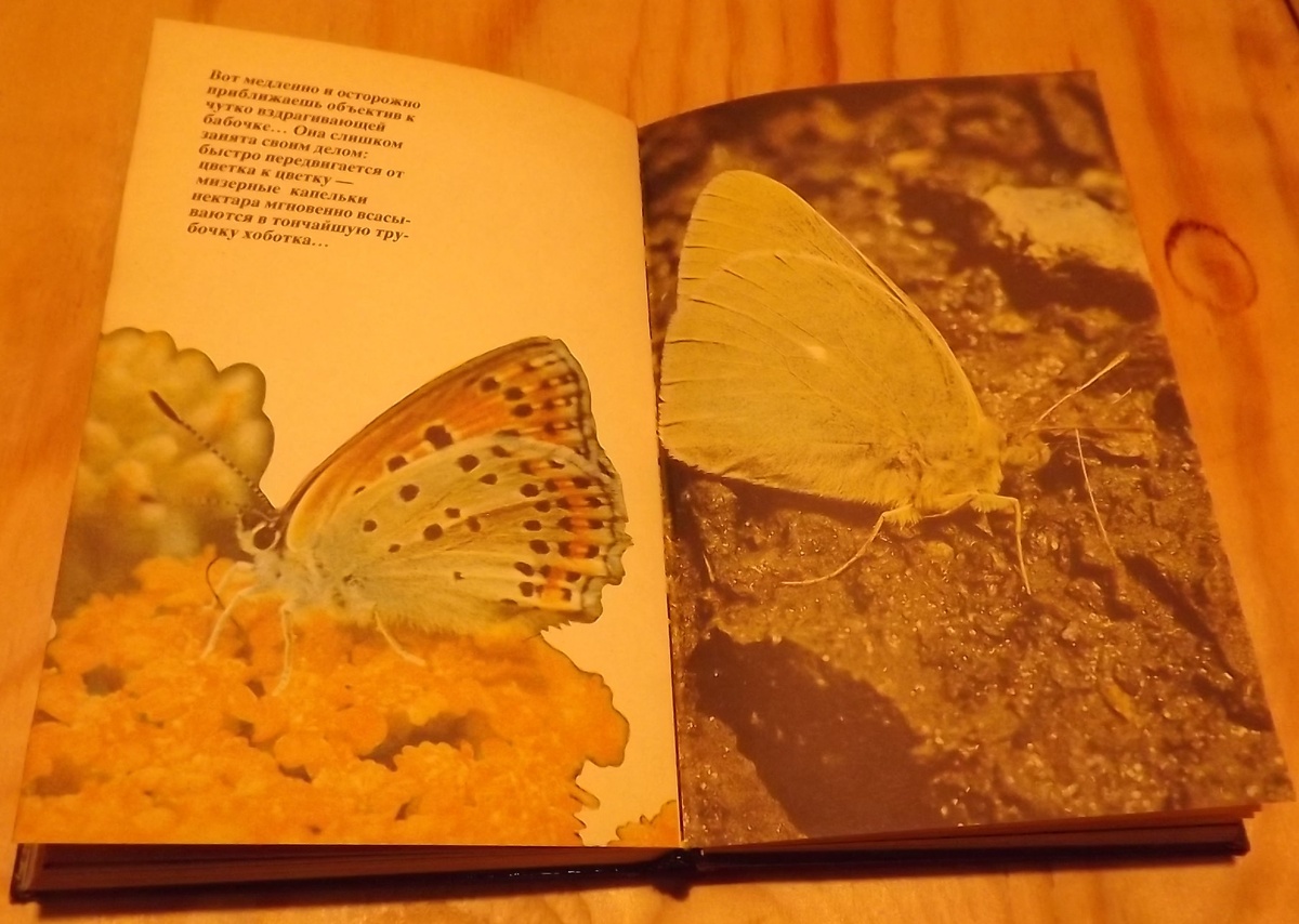 Разворот книги