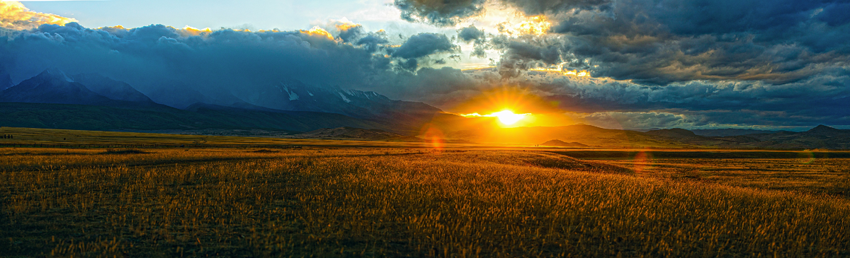 Изображение из открытых источников