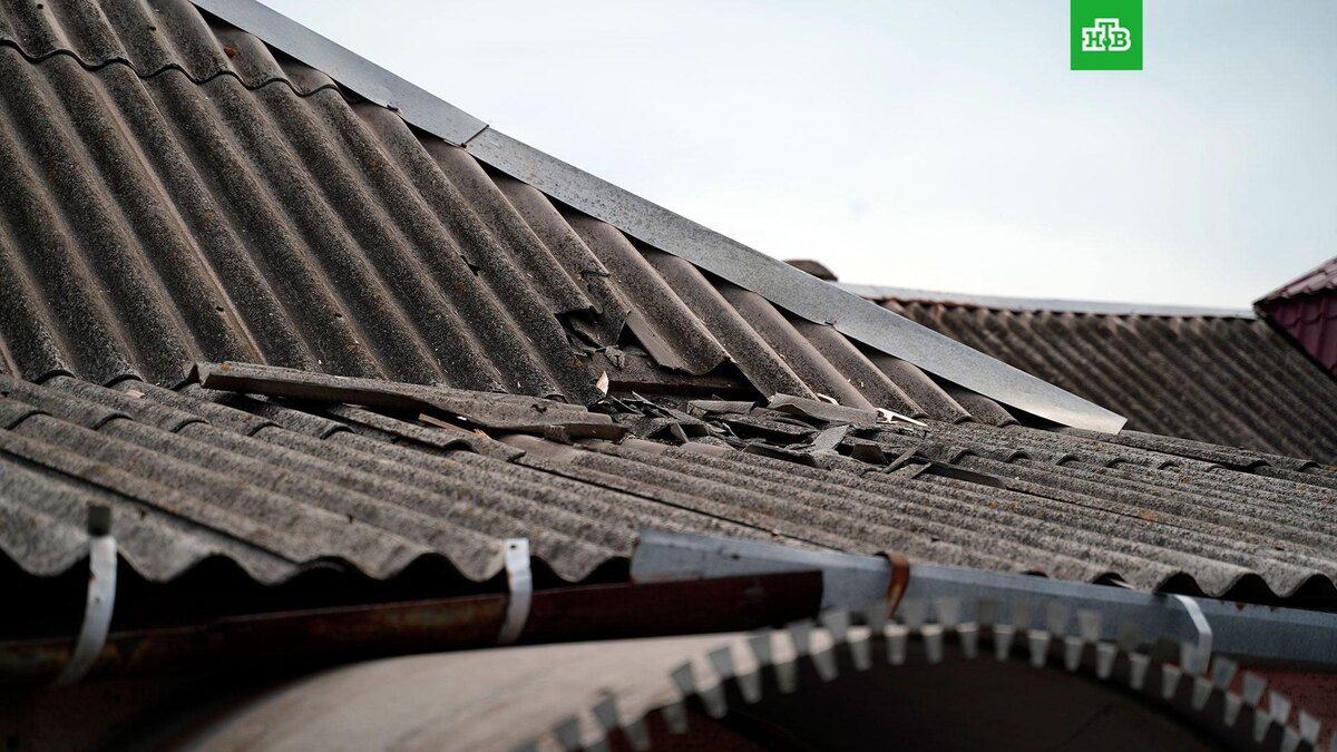    Фото: РИА Новости © 2025, Александр Сухов