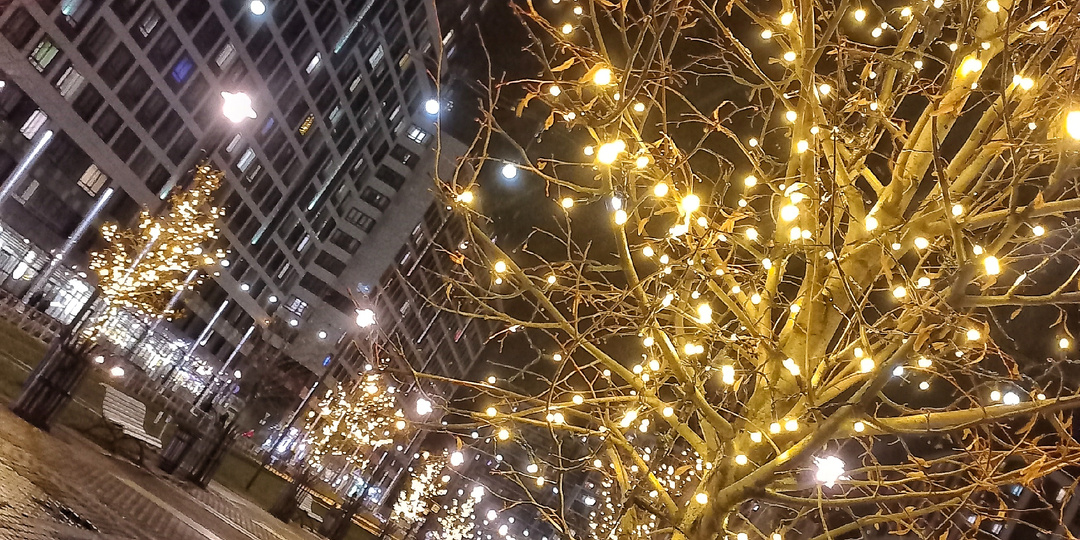 Кто и что помогает мне выжить. В Питере нет интернета. Где в Мурино красиво.