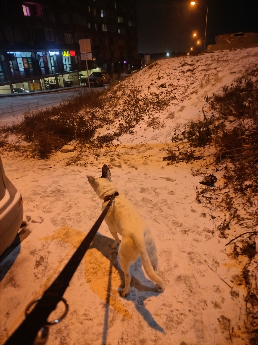 Вечерняя прогулка 