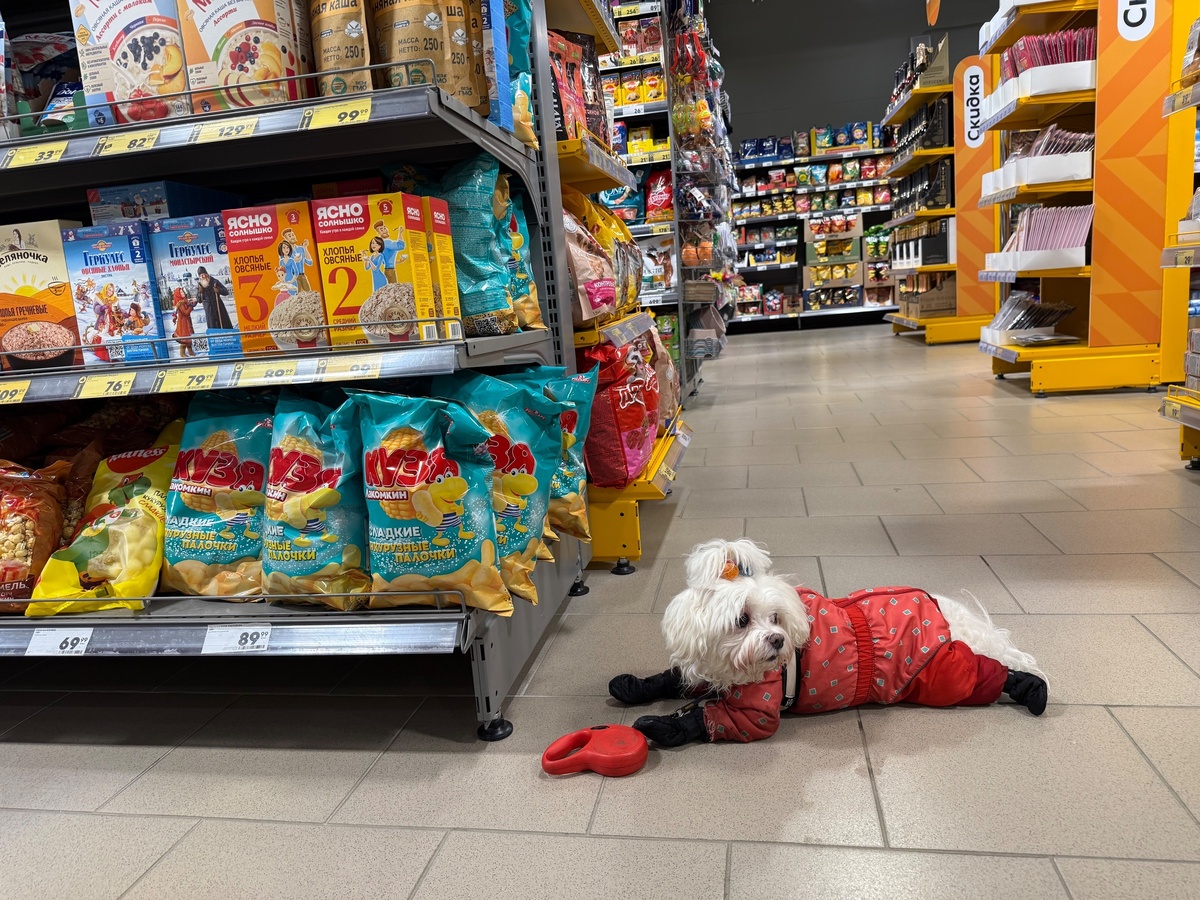    Фото: gorodkirov.ru