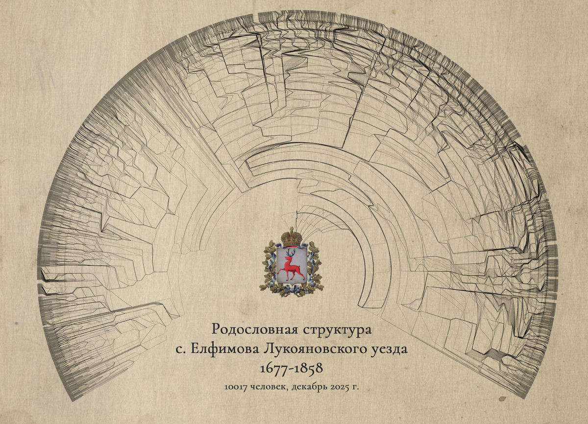 Родословная структура села Елфимова на 10000+ персон (радиальный граф). Это не совсем то древо, к которому мы привыкли. Графовые редакторы показывают лишь структуру связей и дают понимание масштаба — это не самый лучший инструмент для работы с «чистым» GEDCOM. Для построения «классического» древа такого объёма нужны более специализированные инструменты.