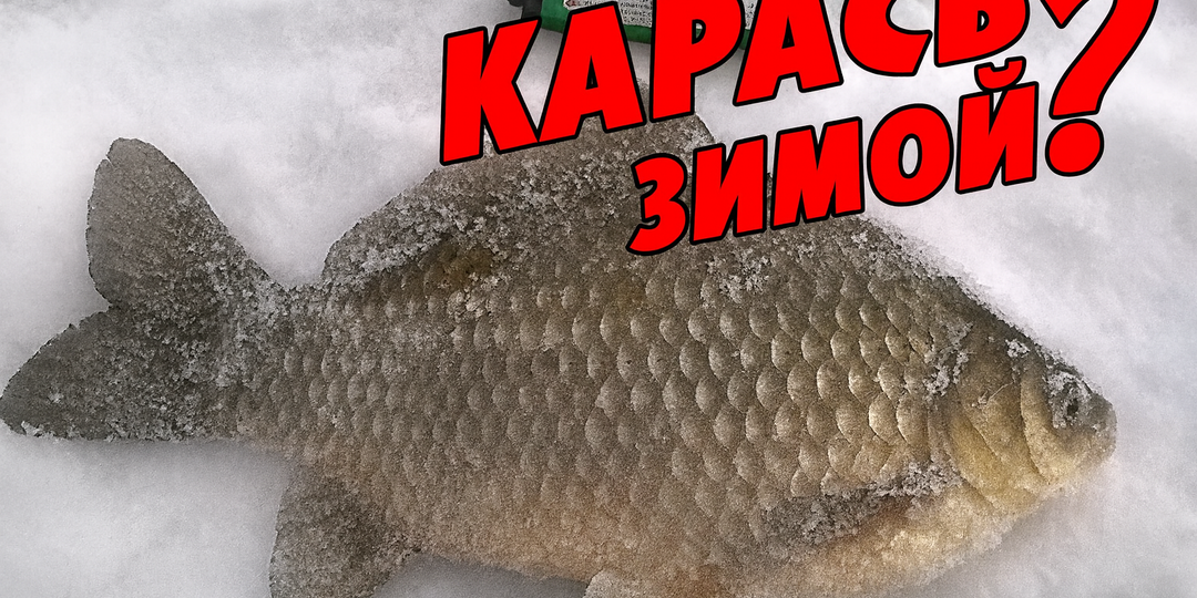 Как поймать Карася Зимой? Сложно, но Возможно!