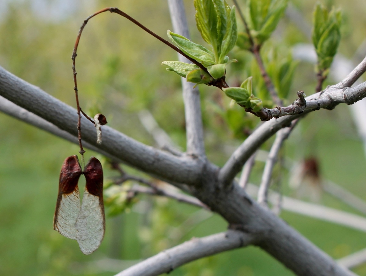 Фото из личного фотоархива