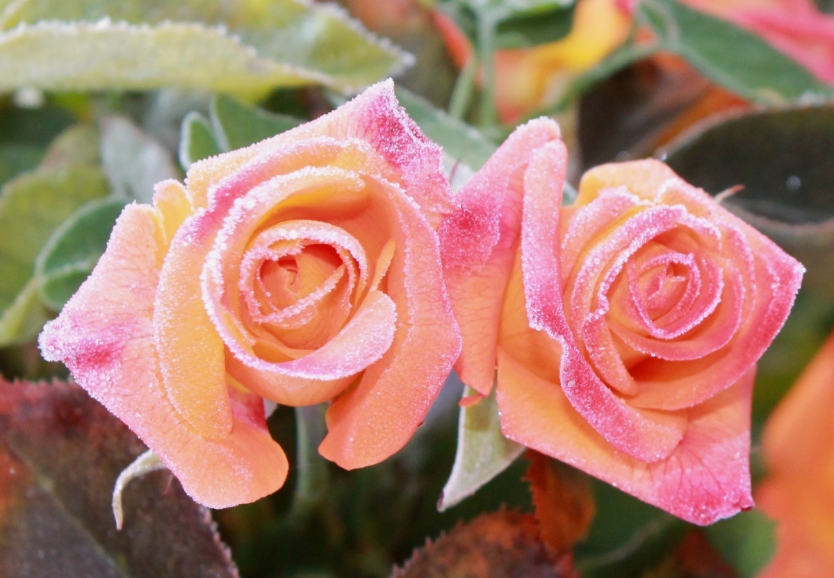 Фото из личного фотоархива