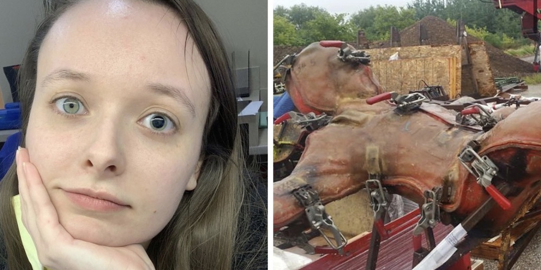 13 невероятных кадров, открывающих такие факты, о которых вы могли и не подозревать