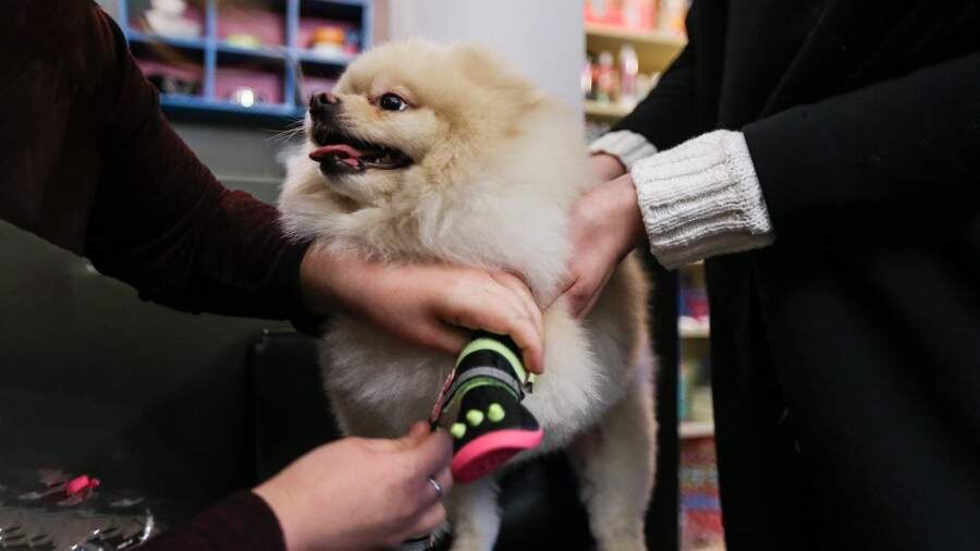    Фото: ТАСС/Сергей Савостьянов