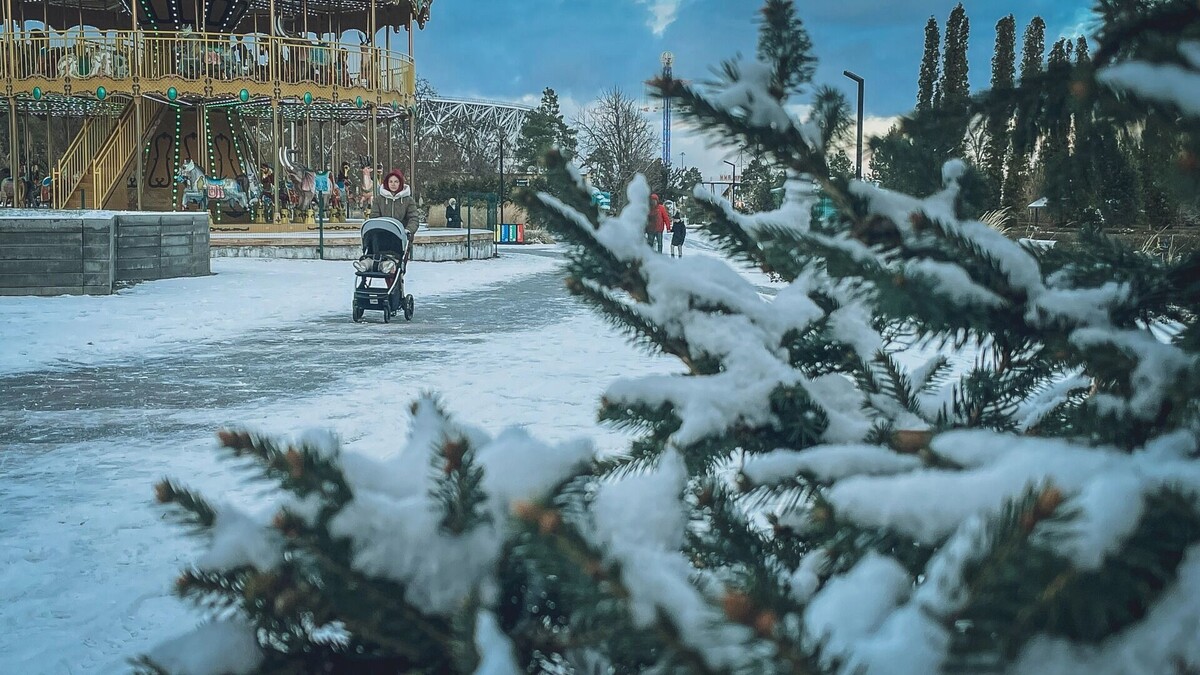     Источник: 1MI