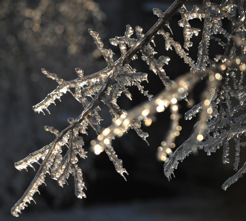    Ледяные дожди, кстати, ещё одна проблема. Фото: Олег Рукавицын.