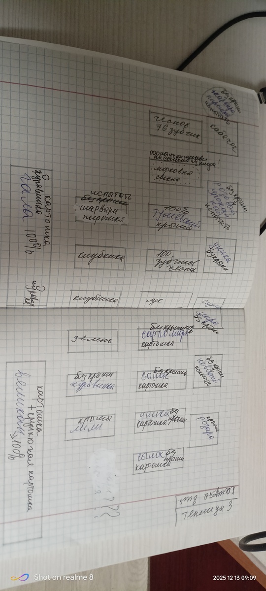 План грядок на 26 г.какие культуры на какой грядке будут рости.