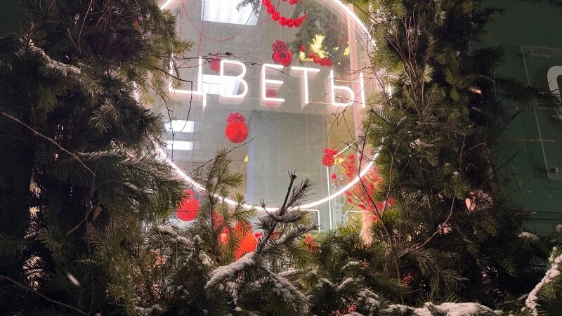     Новогодние украшения. Украшения Барнаула. Новый год Екатерина Карзова