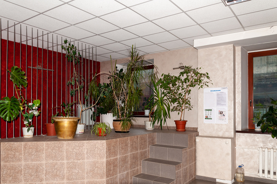    Svetlana Vozmilova/Global Look Press/Global Look Press