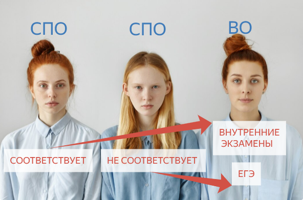 Родственность программ среднего профессионального и высшего образования вузы будут определять самостоятельно. Фото freepik