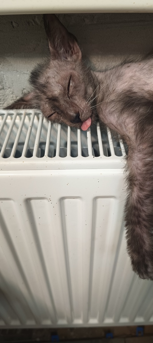 Чилим на батарее😉