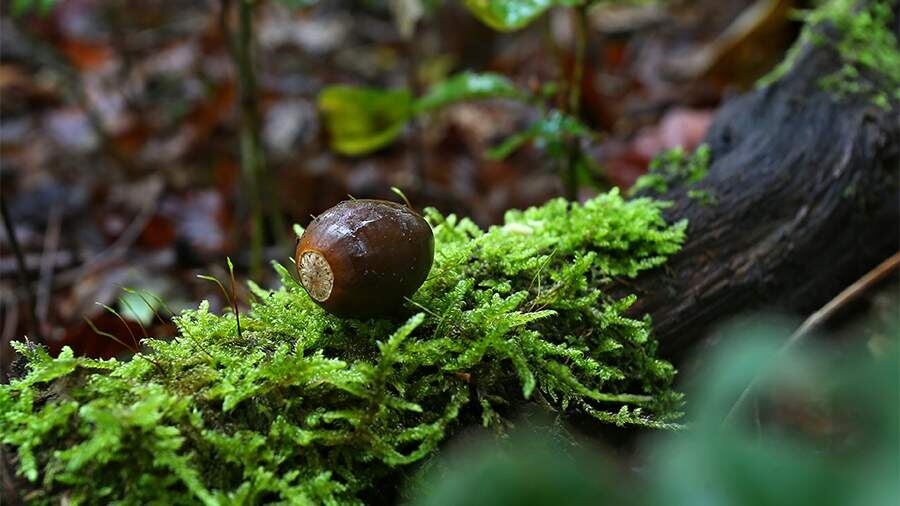    Фото: Global Look Press/Karl-Josef Hildenbrand