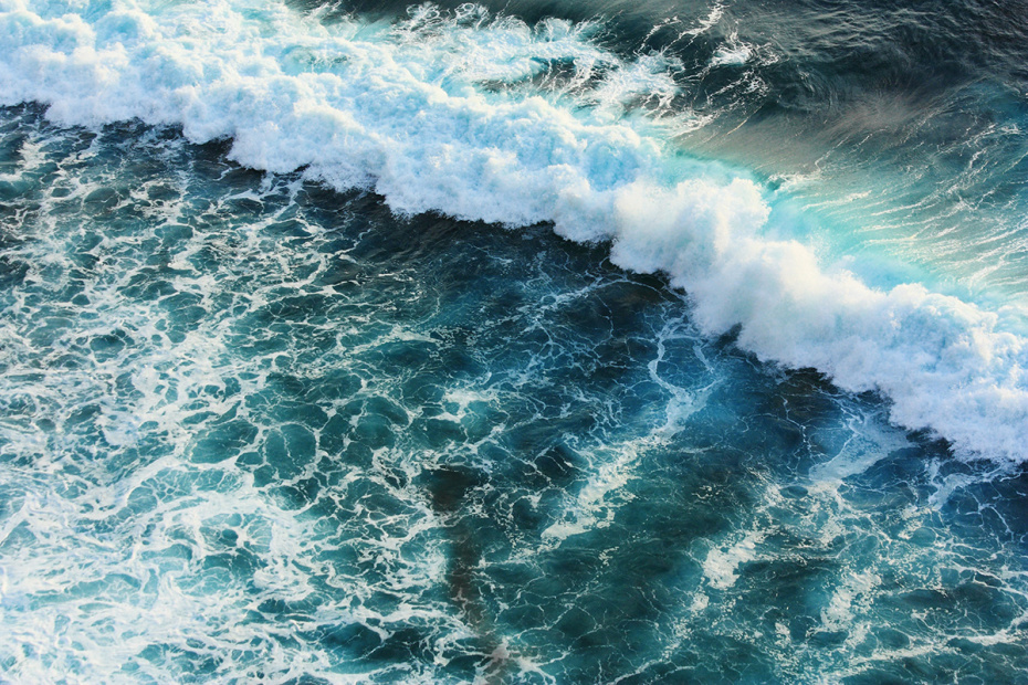    Shutterstock/FOTODOM