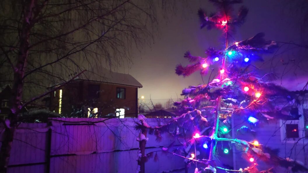    фото: Царьград